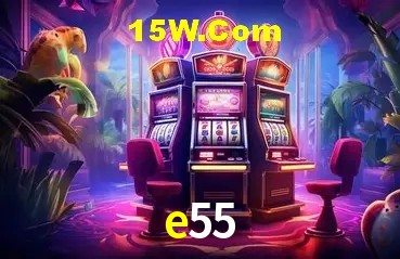 Experiência VIP e55