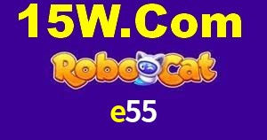 Aviator Game e55