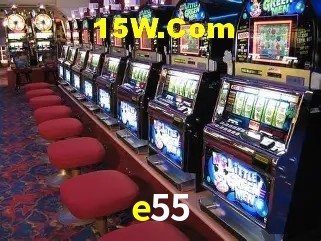 Sistemas de Segurança e55